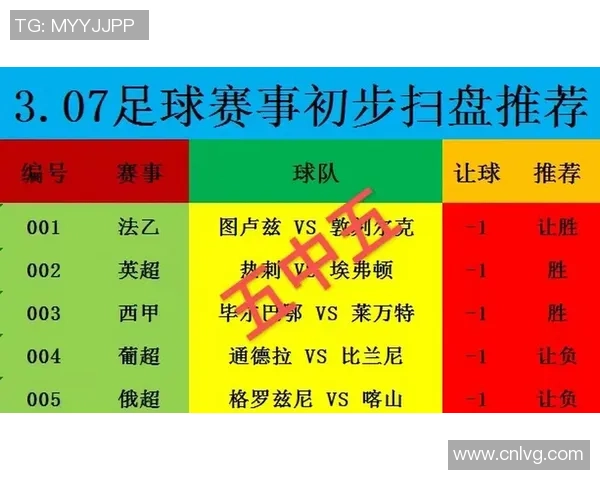 广州篮球队状态火热领跑最新篮球TOP10榜单分析
