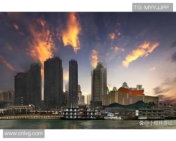 重庆飞盘队逆袭之路：从默默无闻到全国瞩目的反击革新之旅